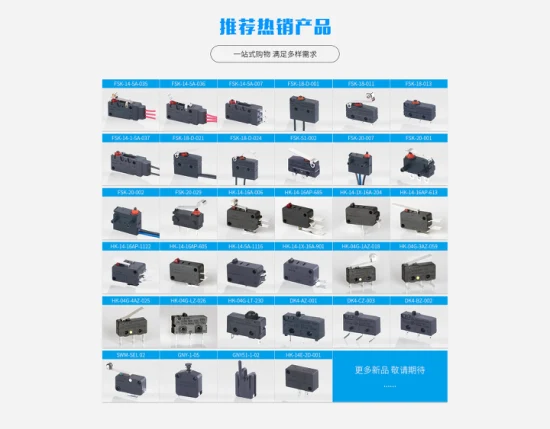 HK-11 3X4X2 Two Foot Tongda Weipeng Tact Switch Mini Limit für Haushaltsgeräte mit ENEC TÜV UL